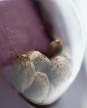 a close up of some nuts in a bowl