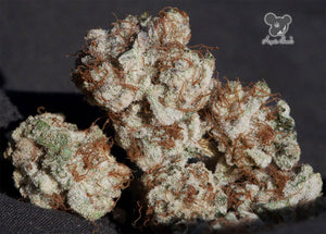 a close up of a bunch of weed