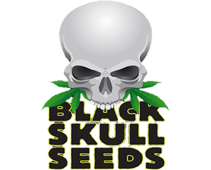 a skull with a marijuana leaf in its mouth