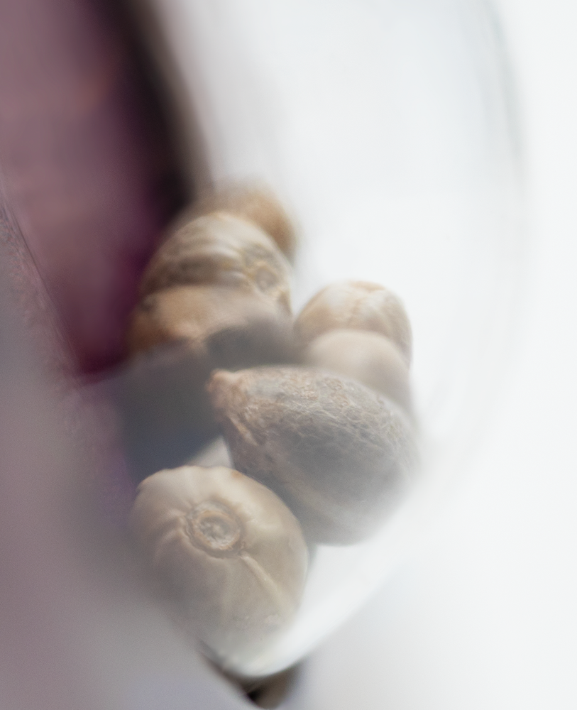 a close up of some nuts in a bowl