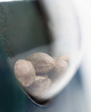 a close up of a spoon with nuts in it