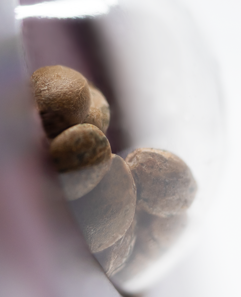 a close up of nuts in a bowl