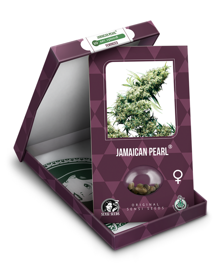 a box with a marijuana plant inside of it