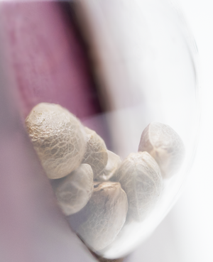 a close up of a spoon with some food inside of it