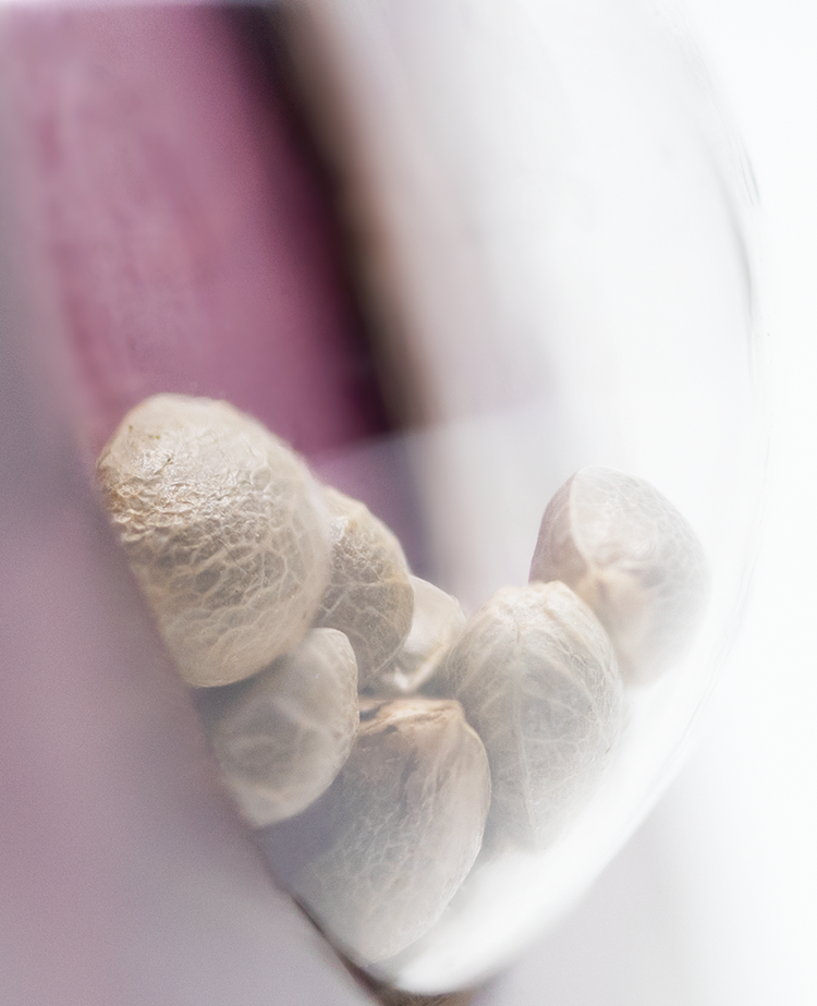 a close up of a spoon with some food inside of it