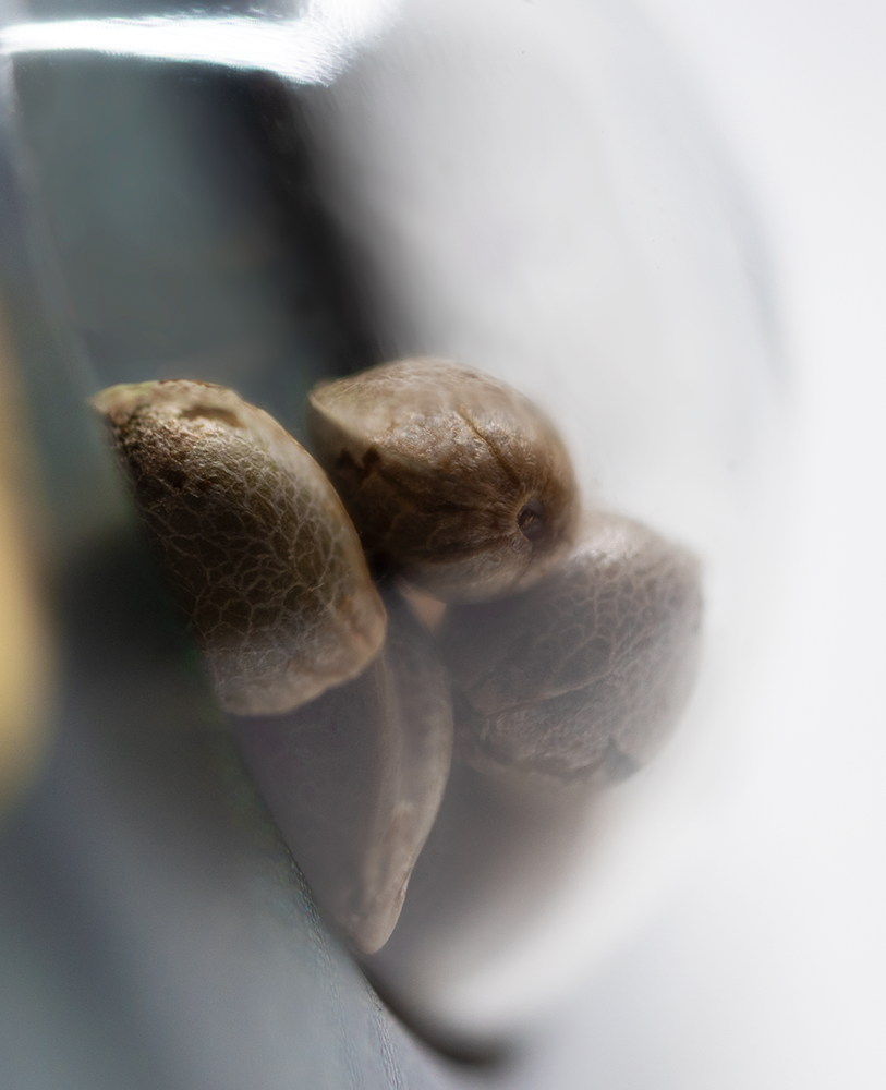 a close up of some fruit on a table