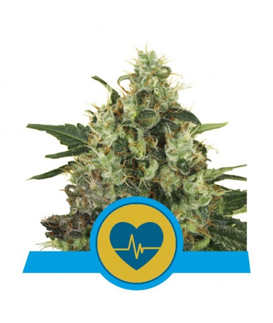a marijuana plant with a heart on it