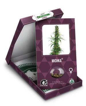 a box with a marijuana plant inside of it