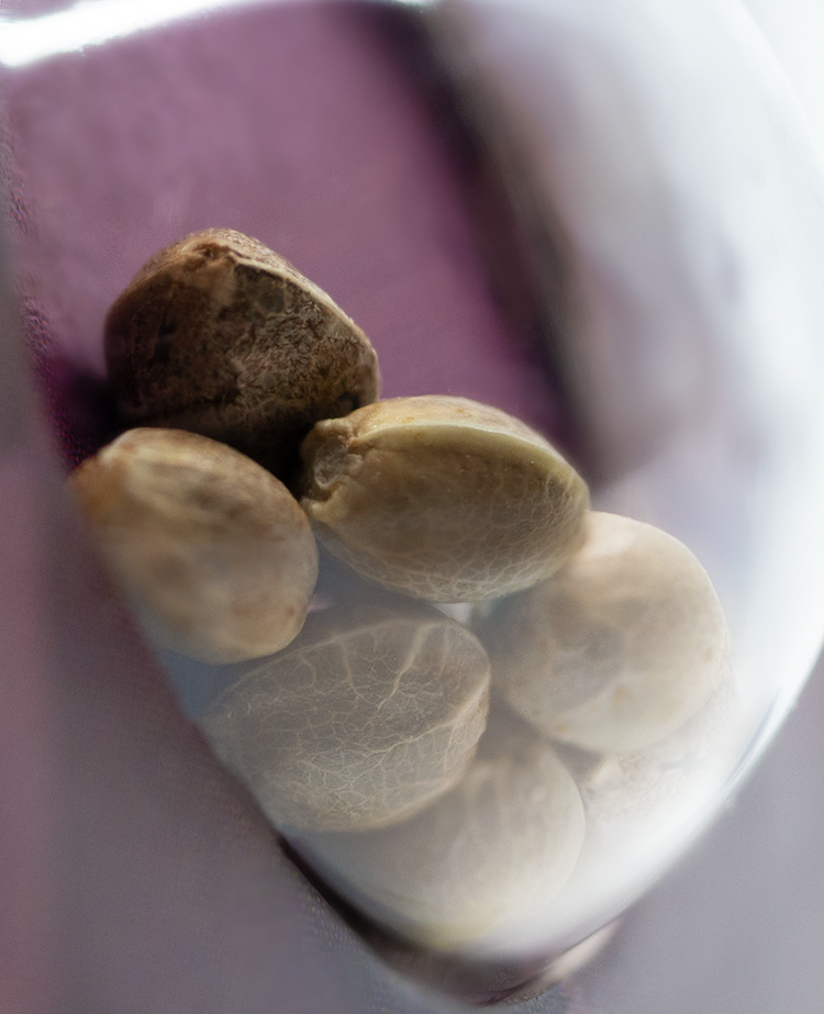 a close up of nuts in a bowl