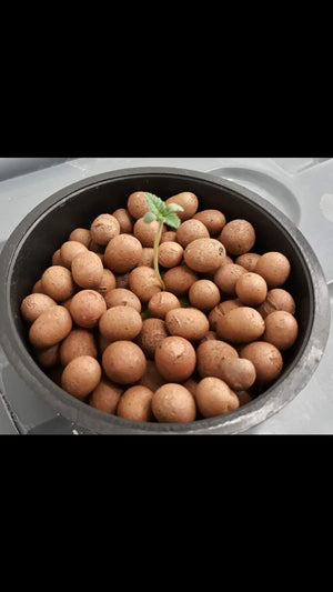 a pot filled with lots of brown potatoes