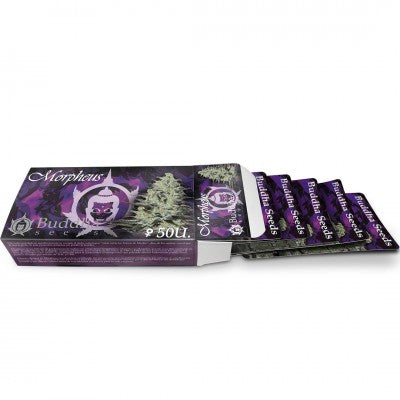 a pack of purple cigarettes sitting on top of a white table