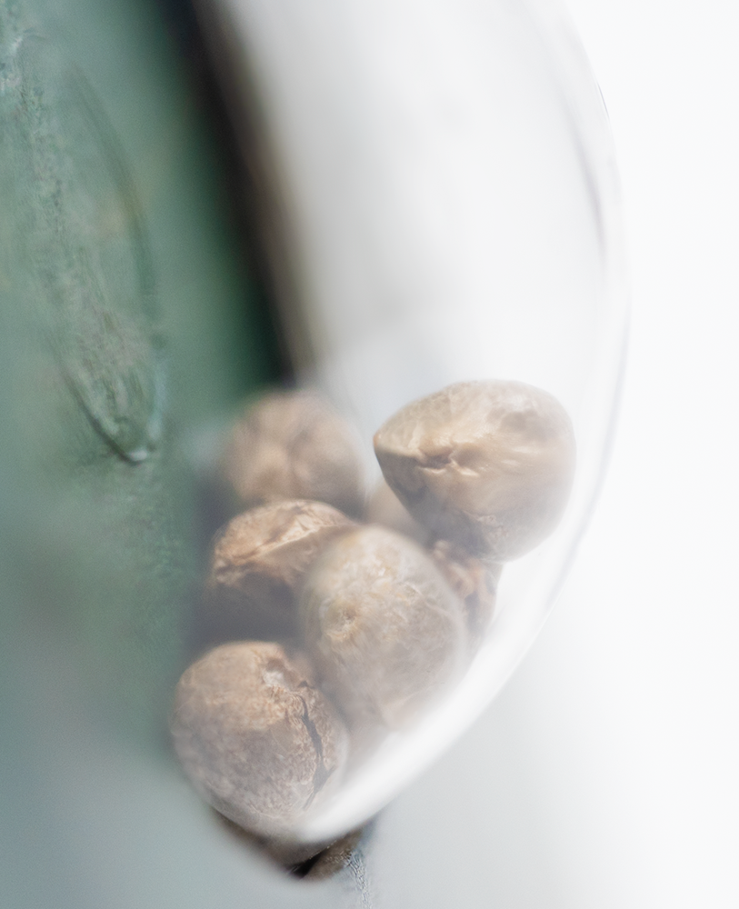 a close up of a spoon with some food inside of it