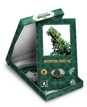 a box with a marijuana plant inside of it