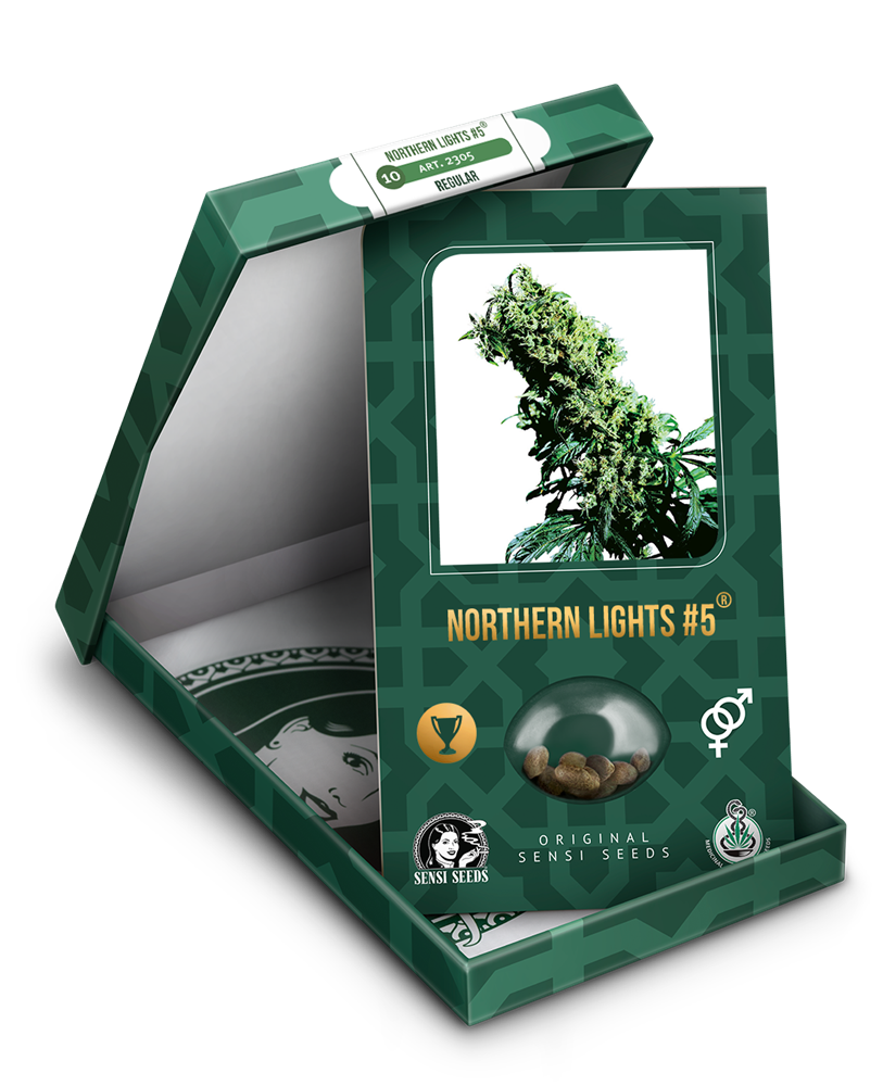a box with a marijuana plant inside of it