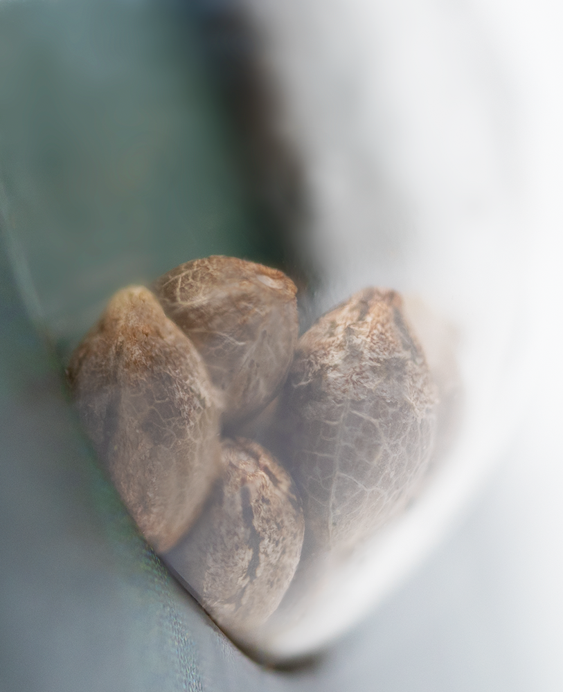 a close up of some nuts in a bowl