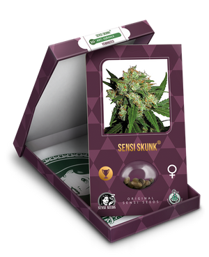 a box with a marijuana plant inside of it