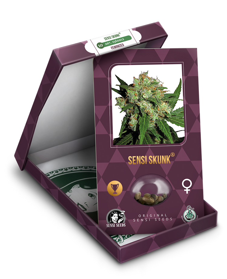 a box with a marijuana plant inside of it