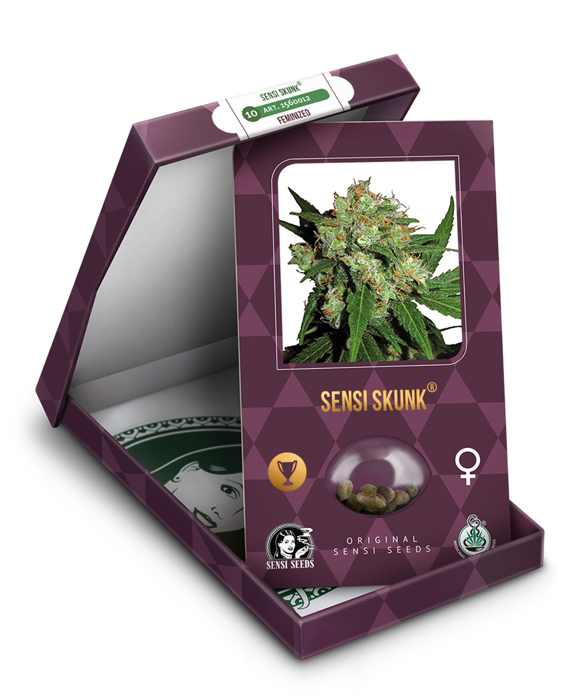 a box with a marijuana plant inside of it