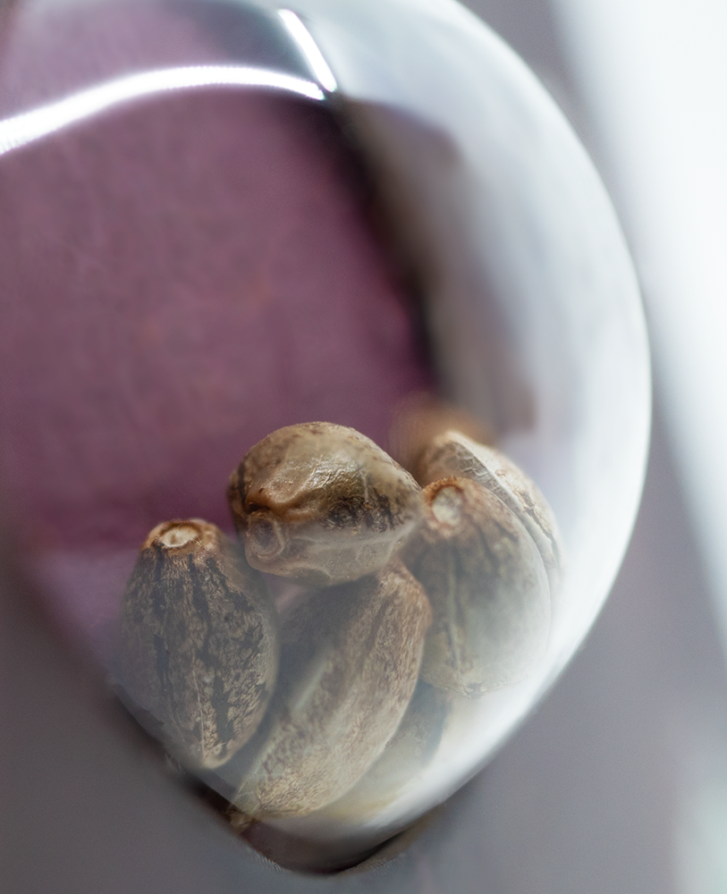 a close up of nuts in a glass container