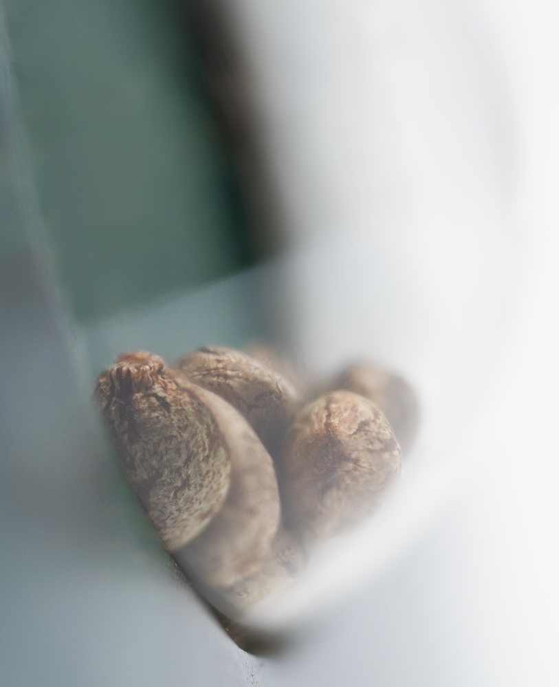 a close up of some nuts in a bowl