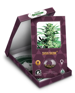 a box with a marijuana plant inside of it