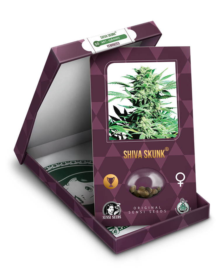 a box with a marijuana plant inside of it