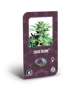 a box with a picture of a marijuana plant inside of it