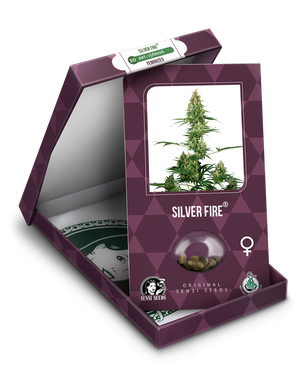 a box with a marijuana plant inside of it
