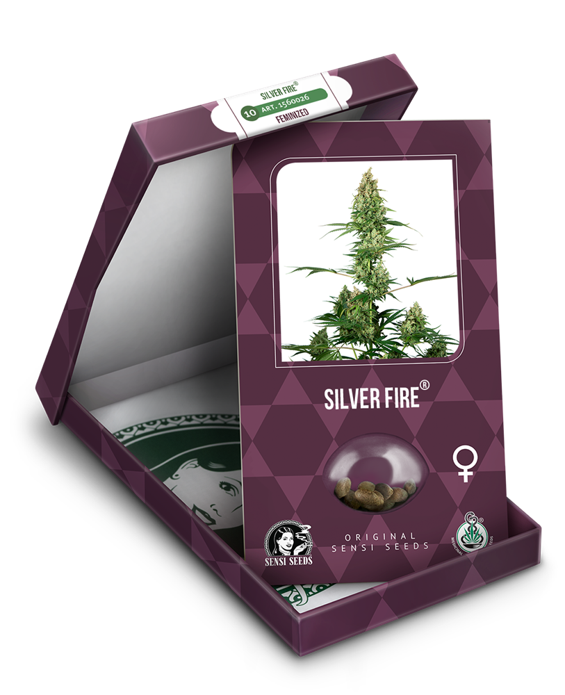 a box with a marijuana plant inside of it