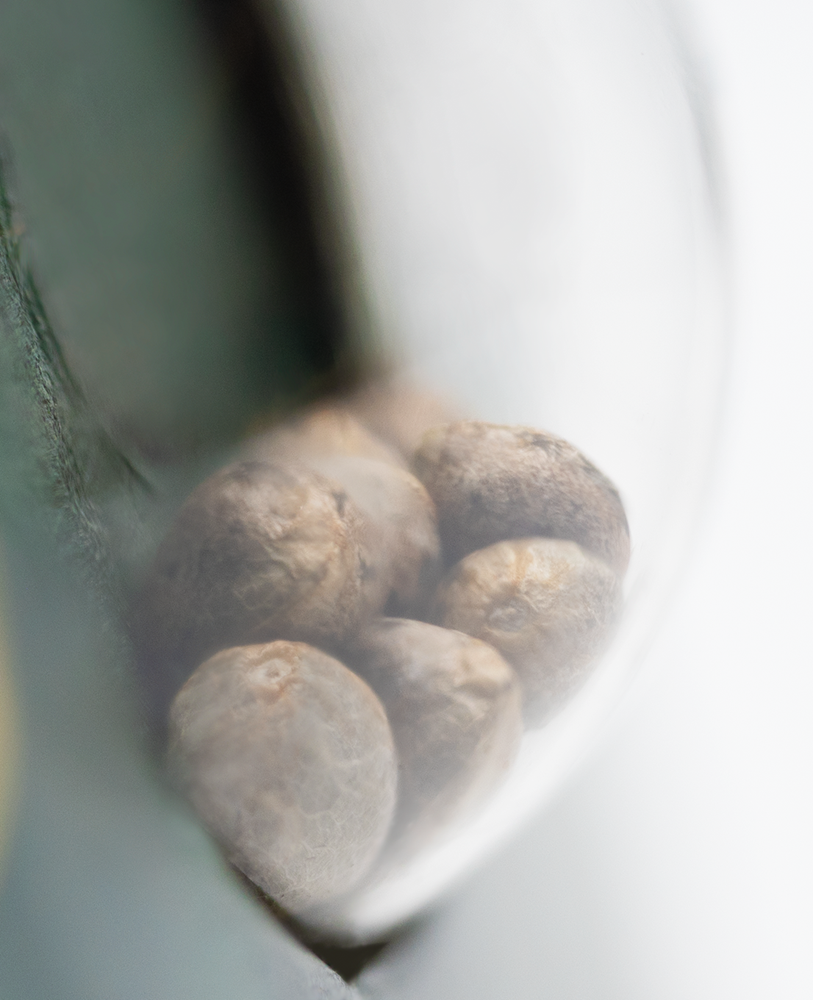 a close up of a spoon with some food inside of it