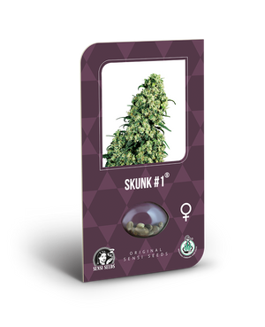 a purple box with a picture of a marijuana plant