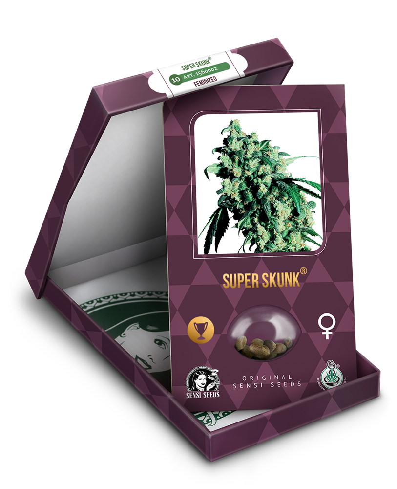 a box with a marijuana plant inside of it