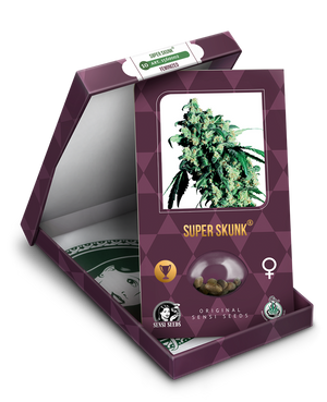 a box with a marijuana plant inside of it