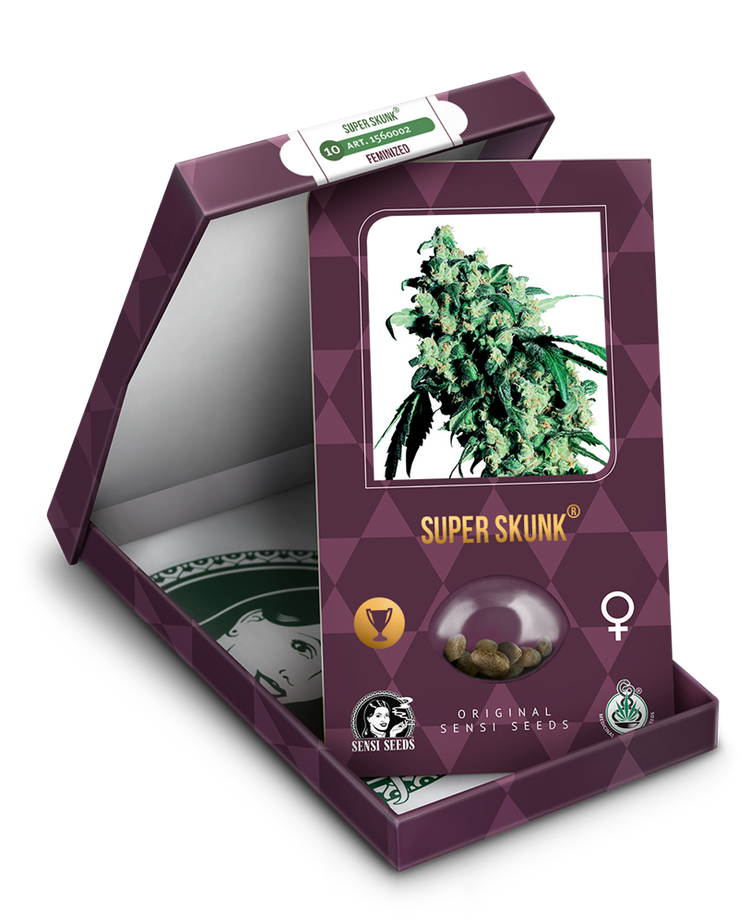 a box with a marijuana plant inside of it