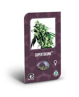 a purple box with a picture of a marijuana plant