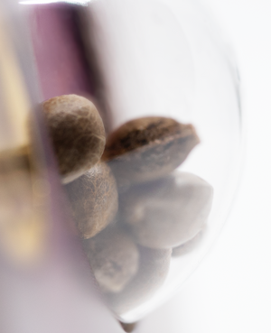 a close up of nuts in a glass container