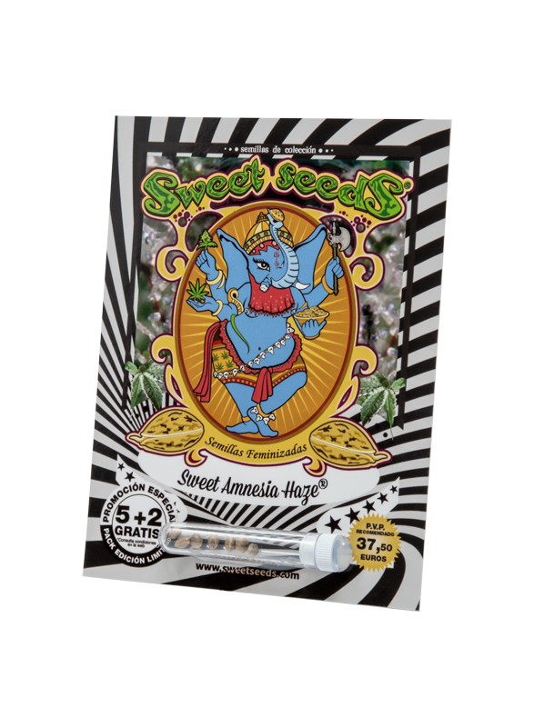 a picture of an elephant on a black and white striped background