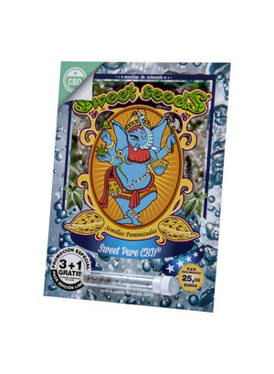 a picture of an elephant on a card