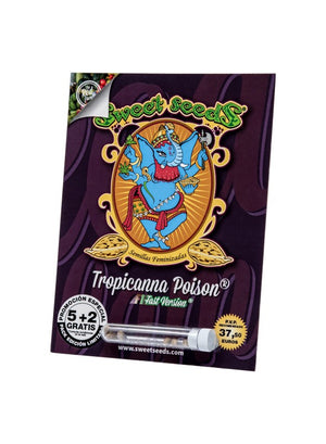 a pack of cigarettes with a picture of an elephant on it