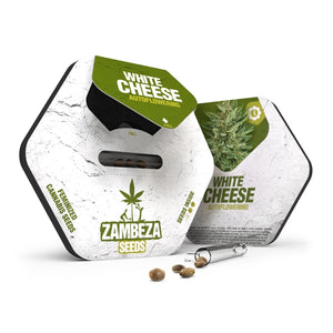 a package of white cheese sitting on top of a table