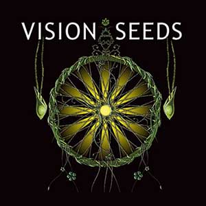 Vision Seeds