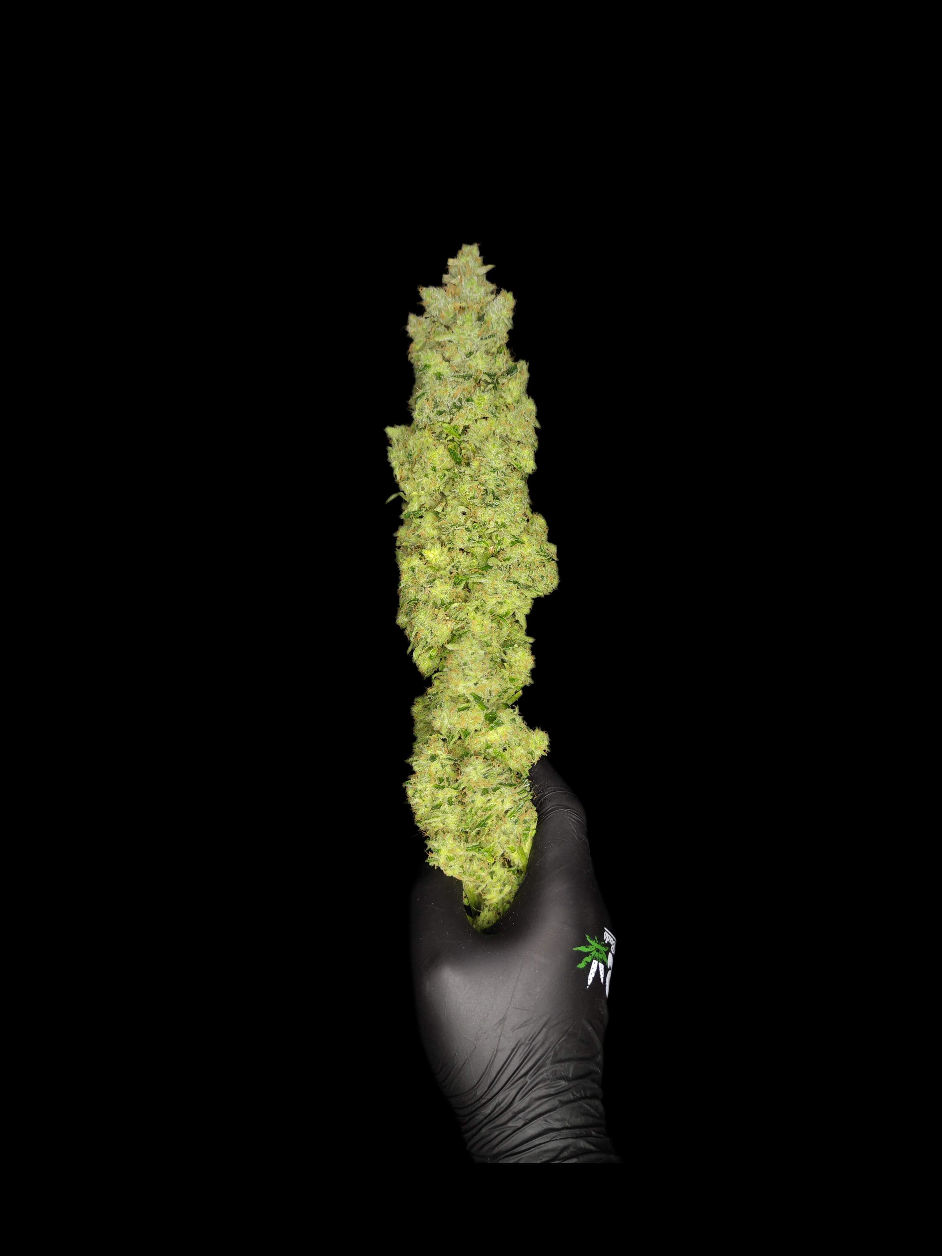 a hand holding a bunch of green marijuana