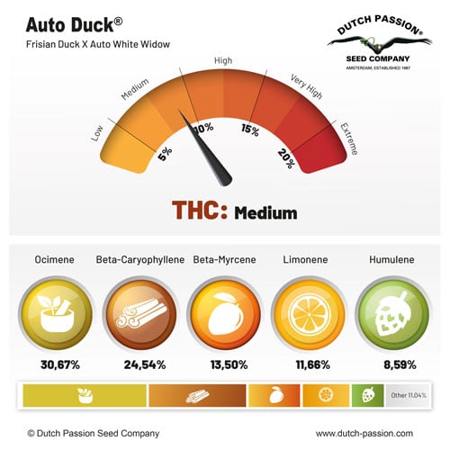 a speedometer with the words thc medium on it