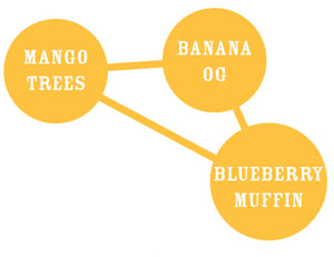 a diagram of a banana tree with blueberry muffins