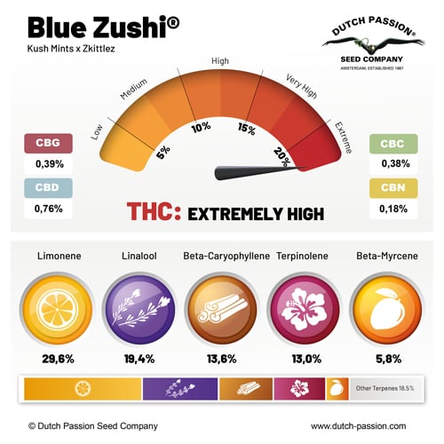 a blue zushi info sheet with different colors