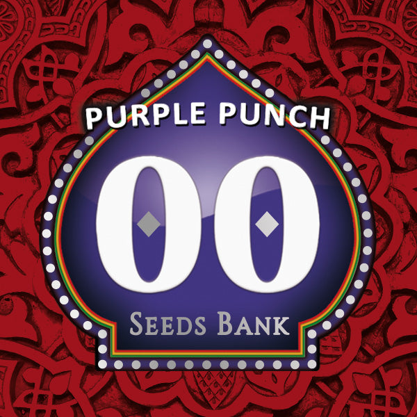 the purple punch seed bank logo on a red background