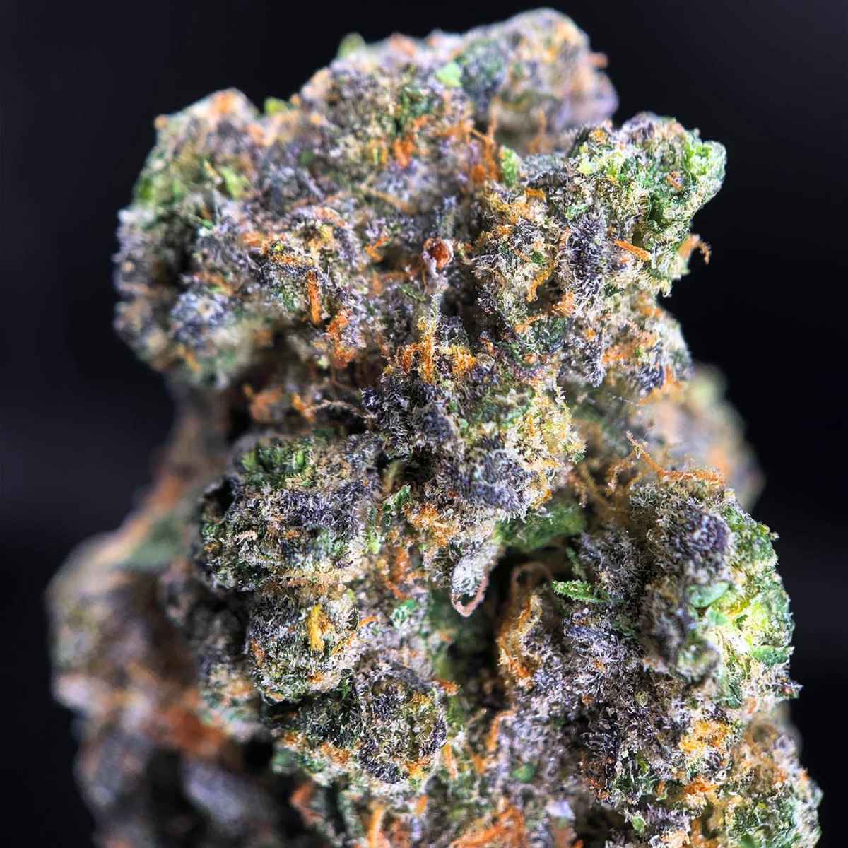 Apple Fritter - Photo Fem