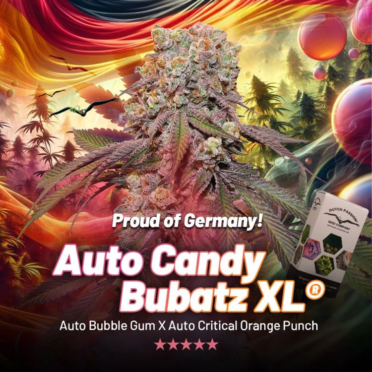 a picture of a plant with the words auto candy bubbat xxl on it