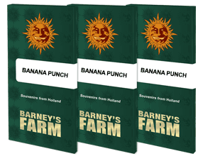 a set of three banana punch books sitting on top of each other