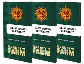 three blue sunset sherbett books